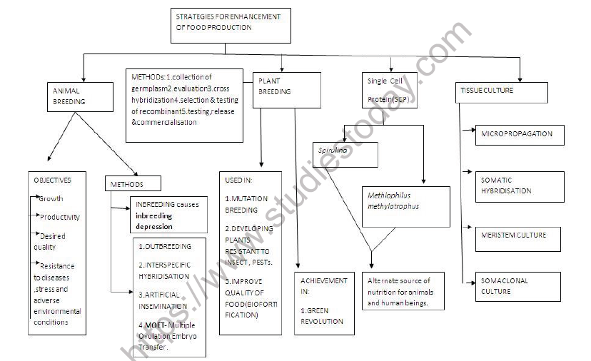 Cbse Class Biology Strategies For Enhancement Of Food Production